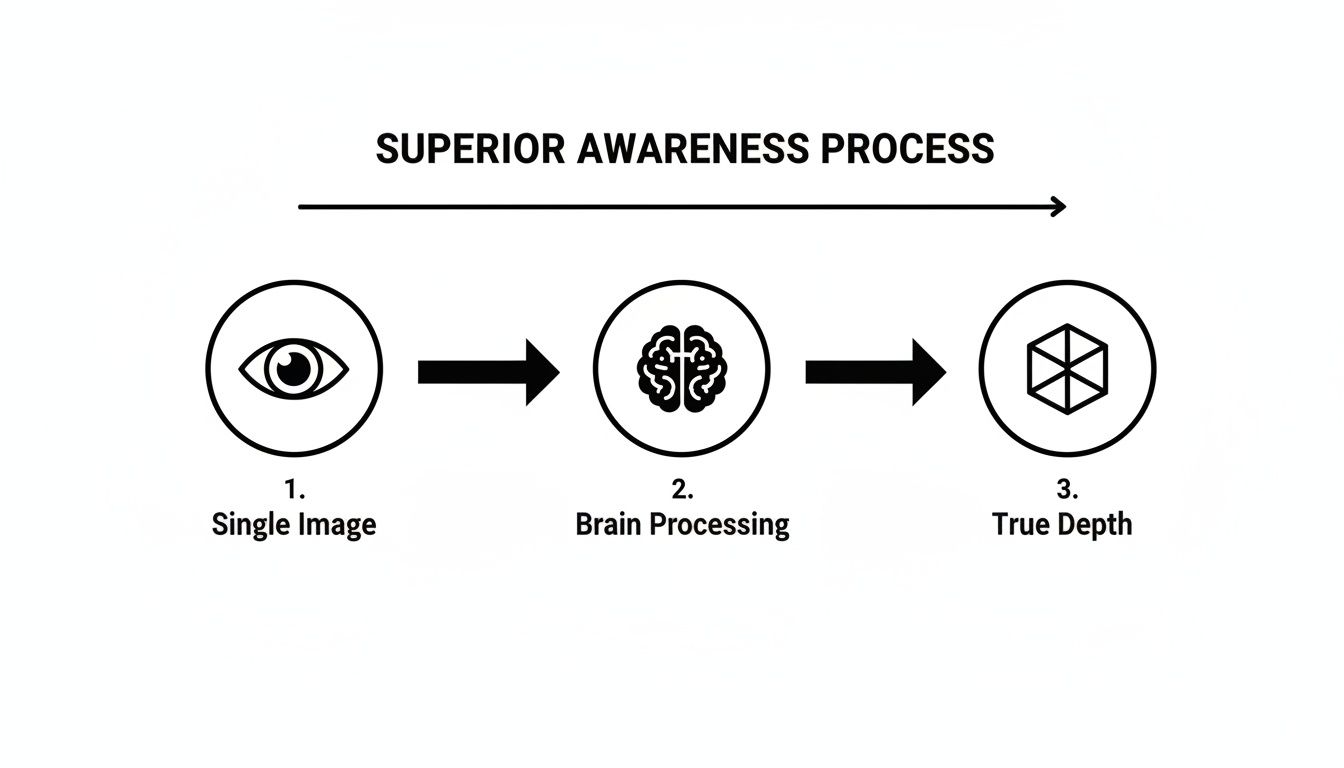 Flowchart illustrating the superior awareness process: single image, brain processing, and true depth.