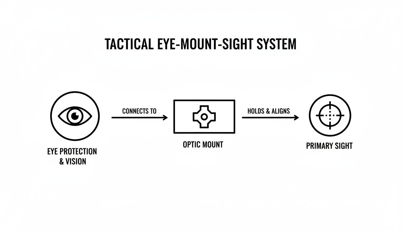 Diagram illustrating the components of a tactical eye-mount-sight system from eye protection to primary sight.