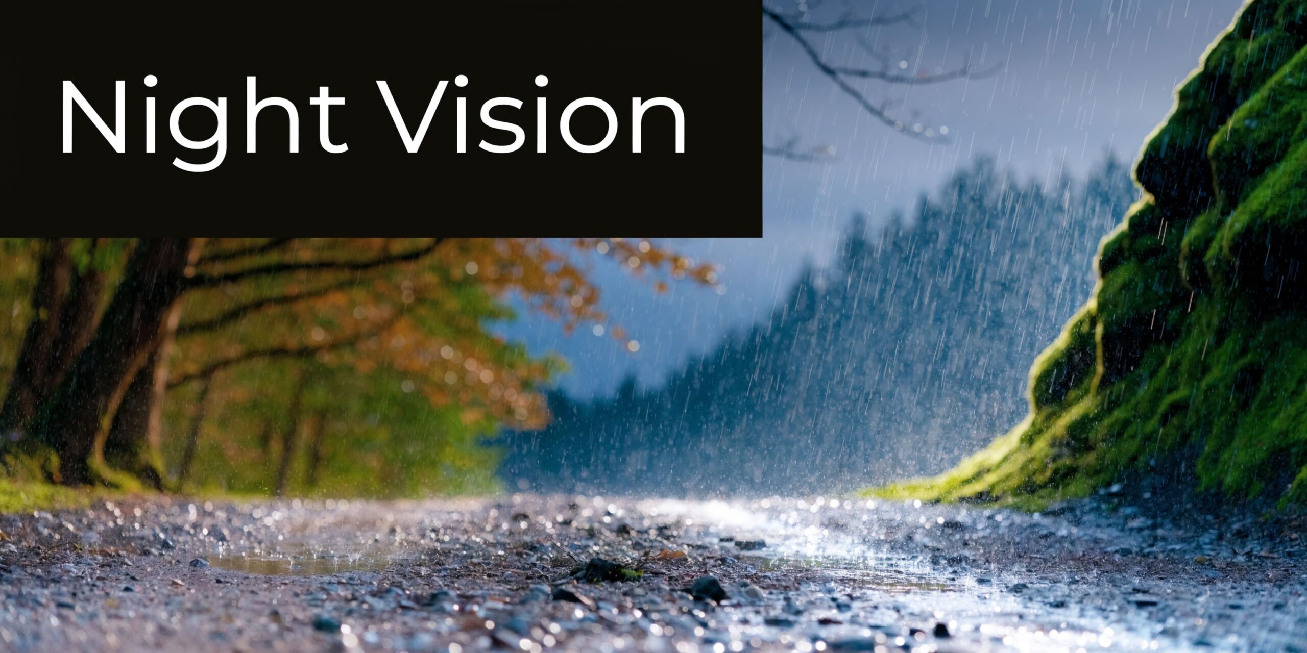 A rainy landscape scene at twilight with a mossy cliff and a gravel path during night time.