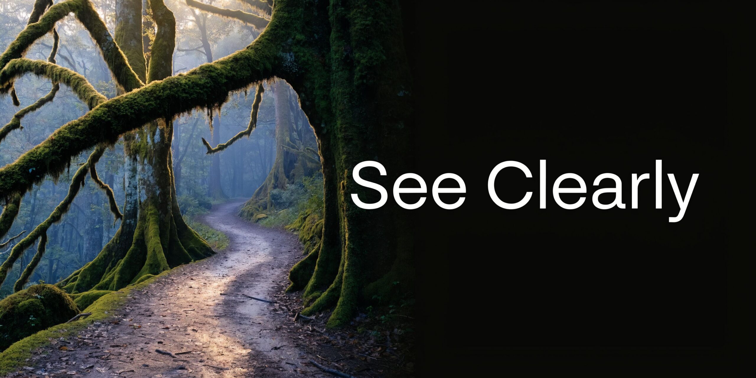 A scenic path through a mossy, ancient forest with sunlight filtering through the trees, labeled See Clearly.