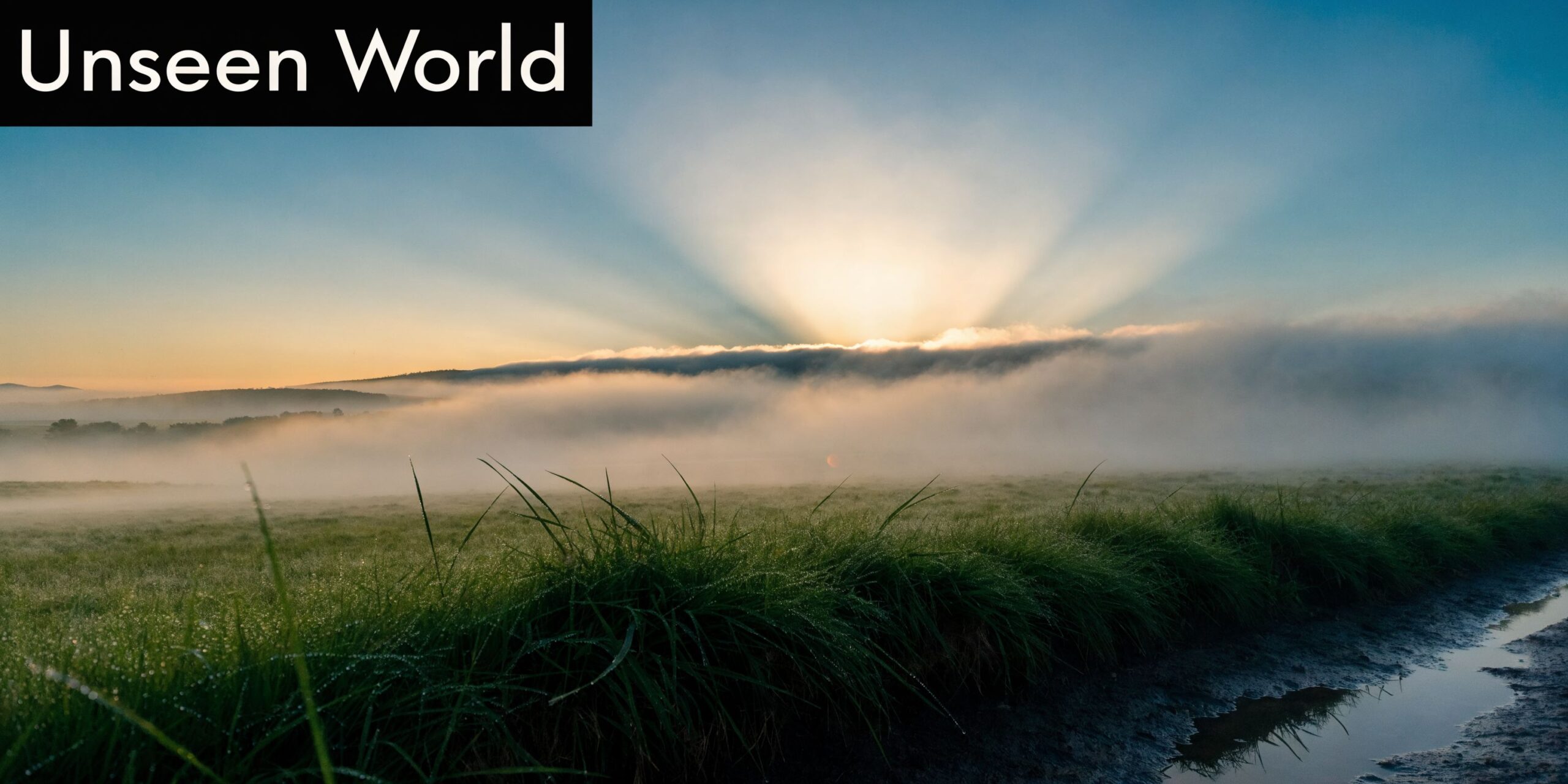 A scenic view of a foggy field at sunrise with glowing sun rays breaking through the clouds.